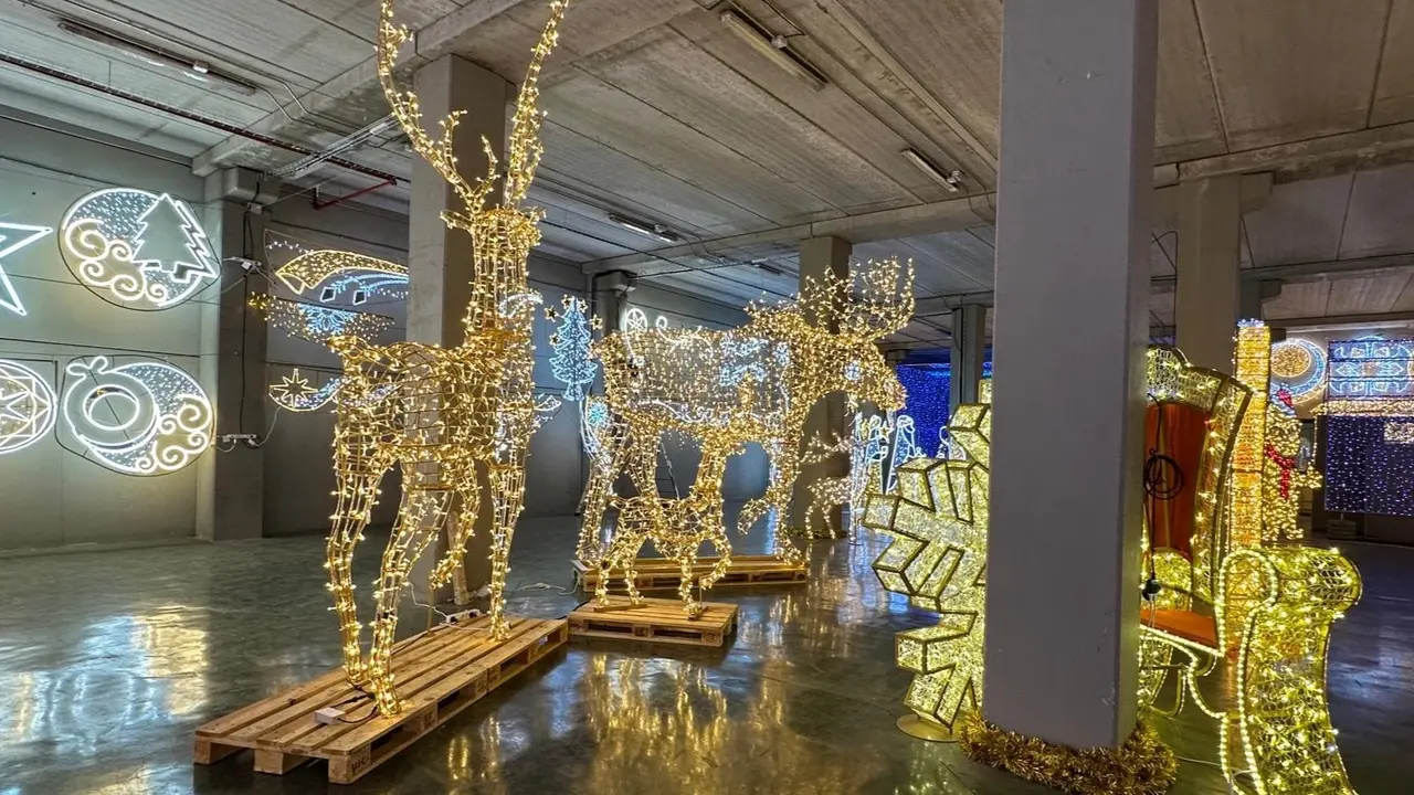 Alce de Navidad, imagen de Ana Torres.