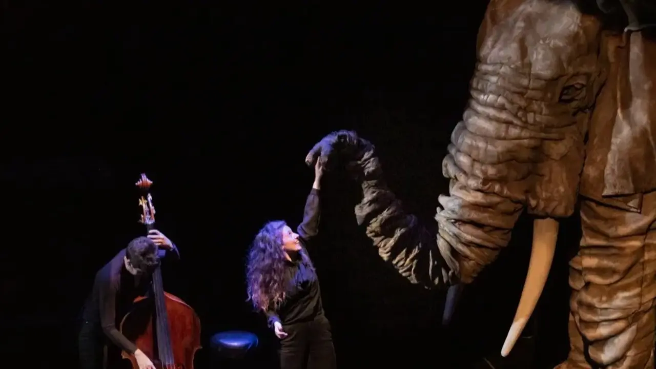 Escena del concierto con el t&iacute;tere de un elefante.
