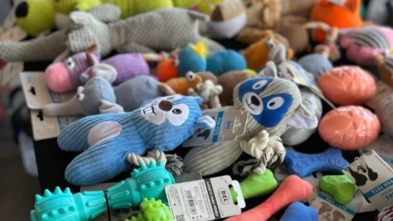 Juguetes para mascotas.