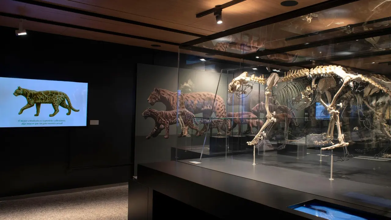 Imagen de archivo. El Museo Arqueol&oacute;gico y Paleontol&oacute;gico de la Comunidad de Madrid.