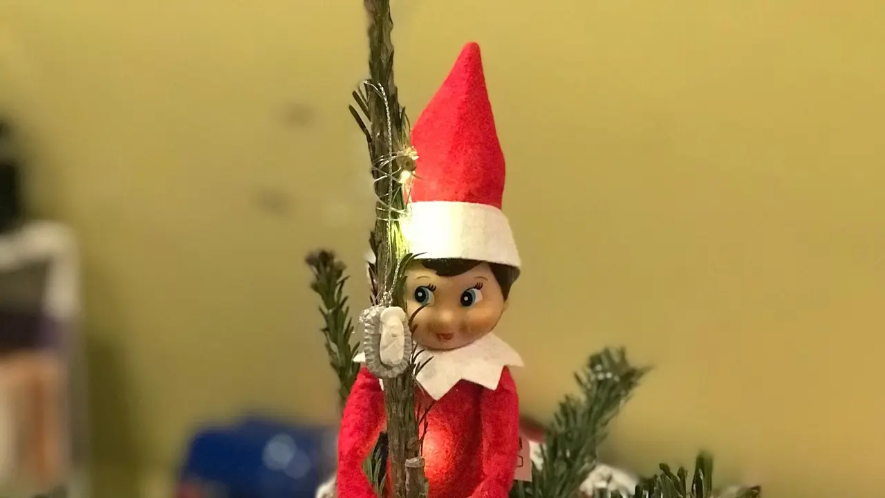 Imagen de archivo de un elfo en un &aacute;rbol de navidad.