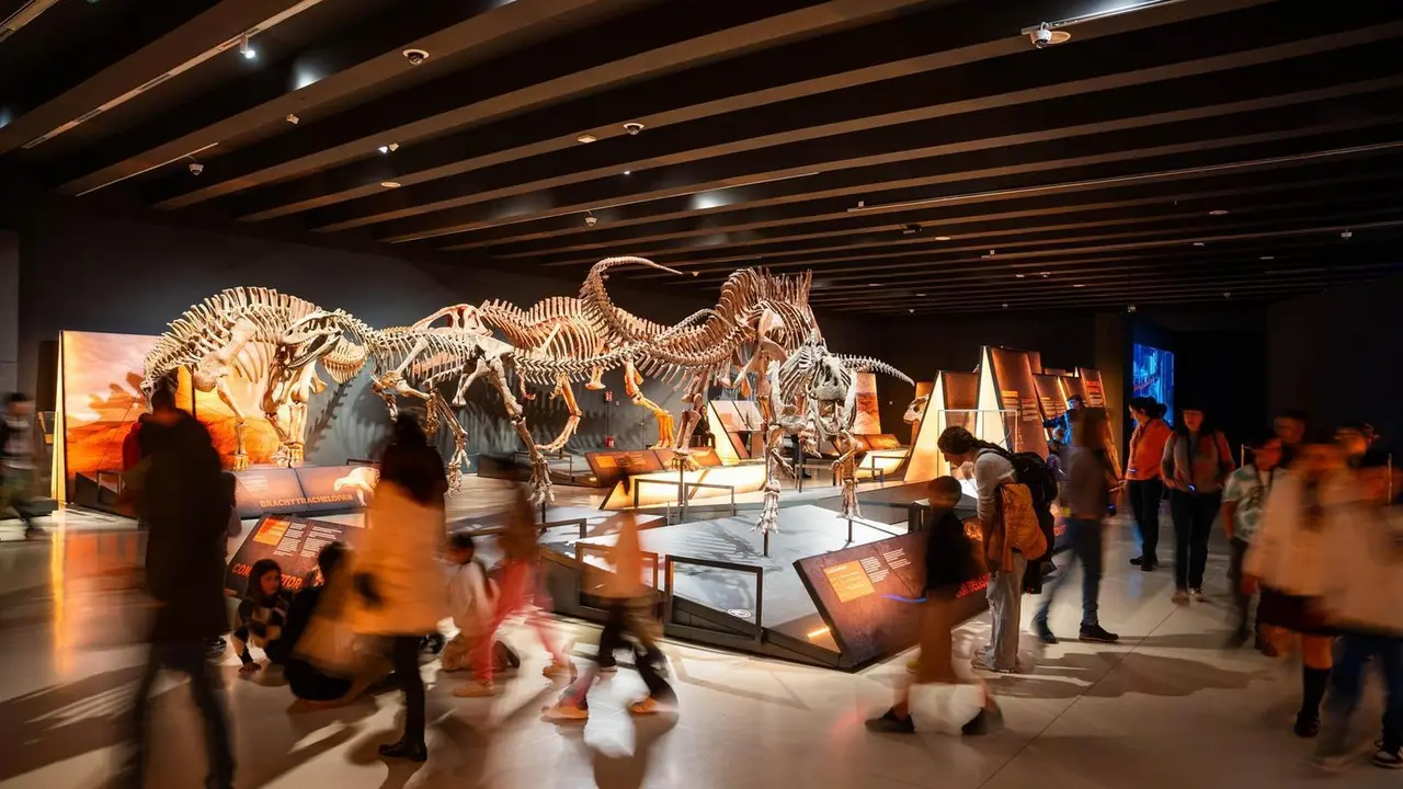 Exposici&oacute;n 'Dinosaurios de la Patagonia'.