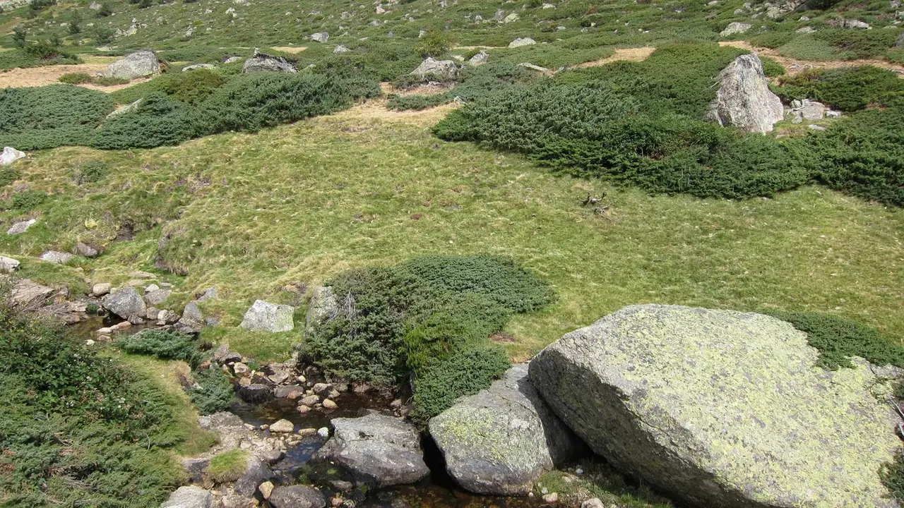 Parque Nacional. Guadarrama. Biodiversidad. Conservaci&oacute;n.
