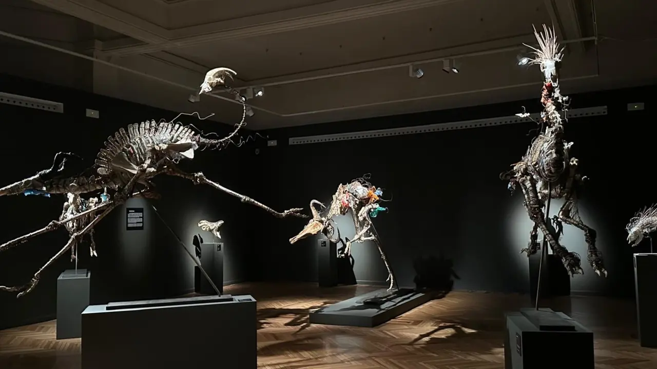 Exposici&oacute;n 'Especies mensajeras', fotograf&iacute;a de Ana Torres.