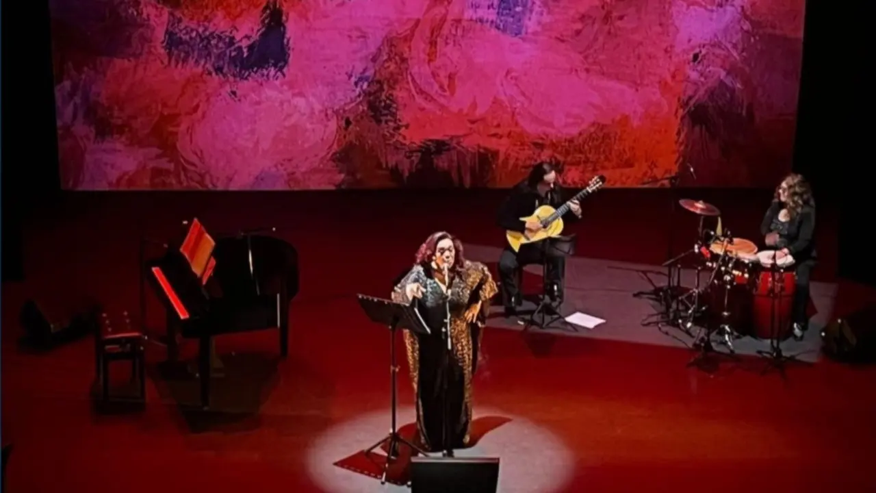 Concierto con proyecci&oacute;n de luces rojas.