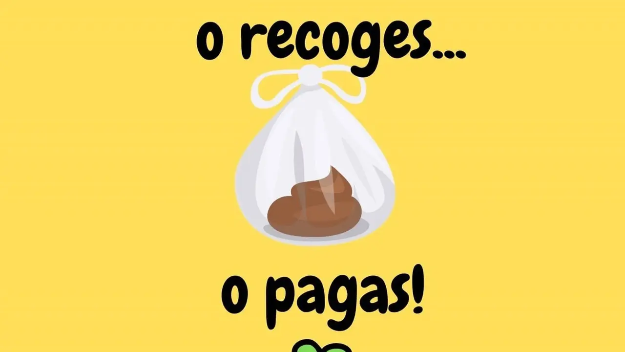 Cartel promocional de la campa&ntilde;a "o recoges o pagas" del Ayuntamiento de Ciempozuelos.