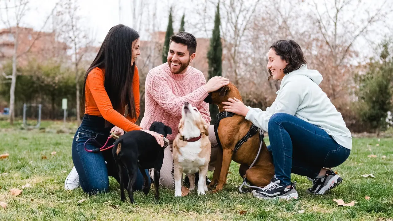 Tres j&oacute;venes con perros en el parque. Imagen de archivo.