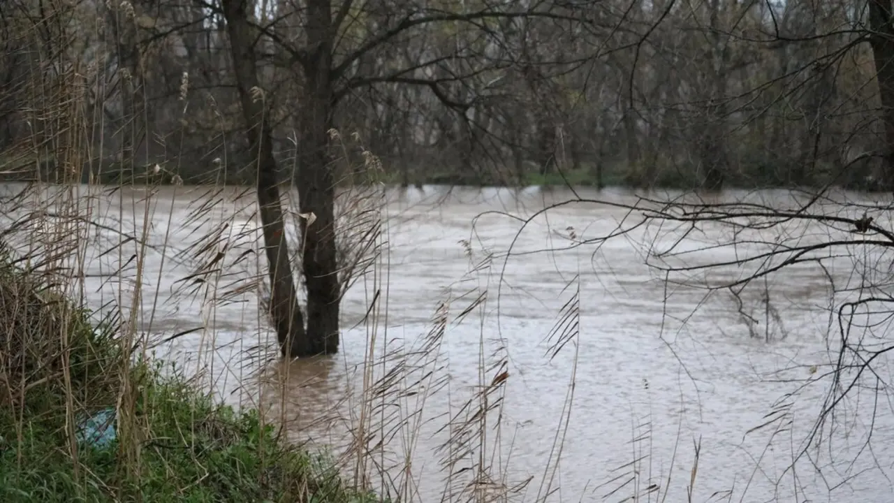 El caudal del r&iacute;o Henares ha alcanzado niveles que no ten&iacute;a desde 1979 por las intensas lluvias y desembalses.