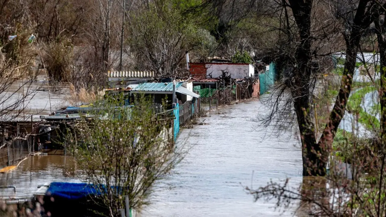 Zona de cultivos afectada por el desbordamiento del R&iacute;o Jarama.
