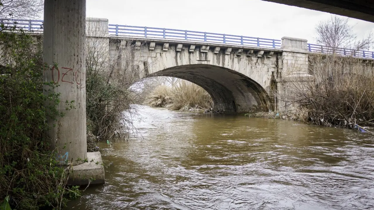 Crecida del r&iacute;o Guadarrama a su paso por las Sabinas.