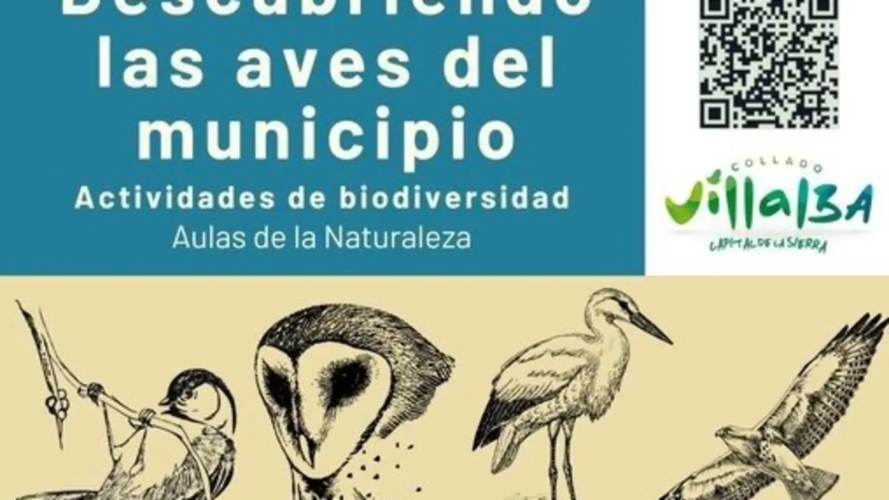 Cartel de la actividad 'Descubriendo aves del municipio de Collado Villalba'.