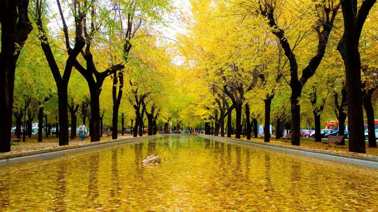 Zona verde de Pinto.