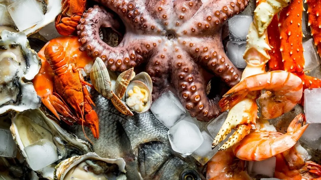 Mariscos varios. Imagen de archivo.