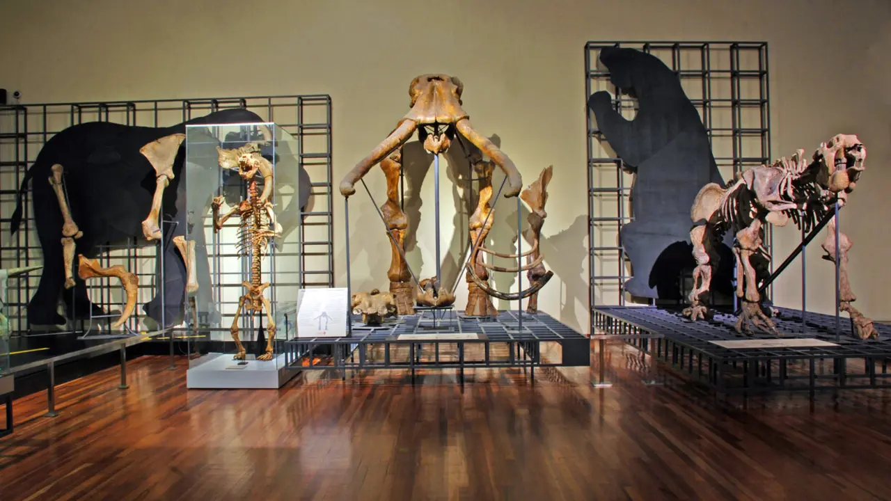 Galer&iacute;a de dinosaurios en el Museo Nacional de Ciencias Naturales.