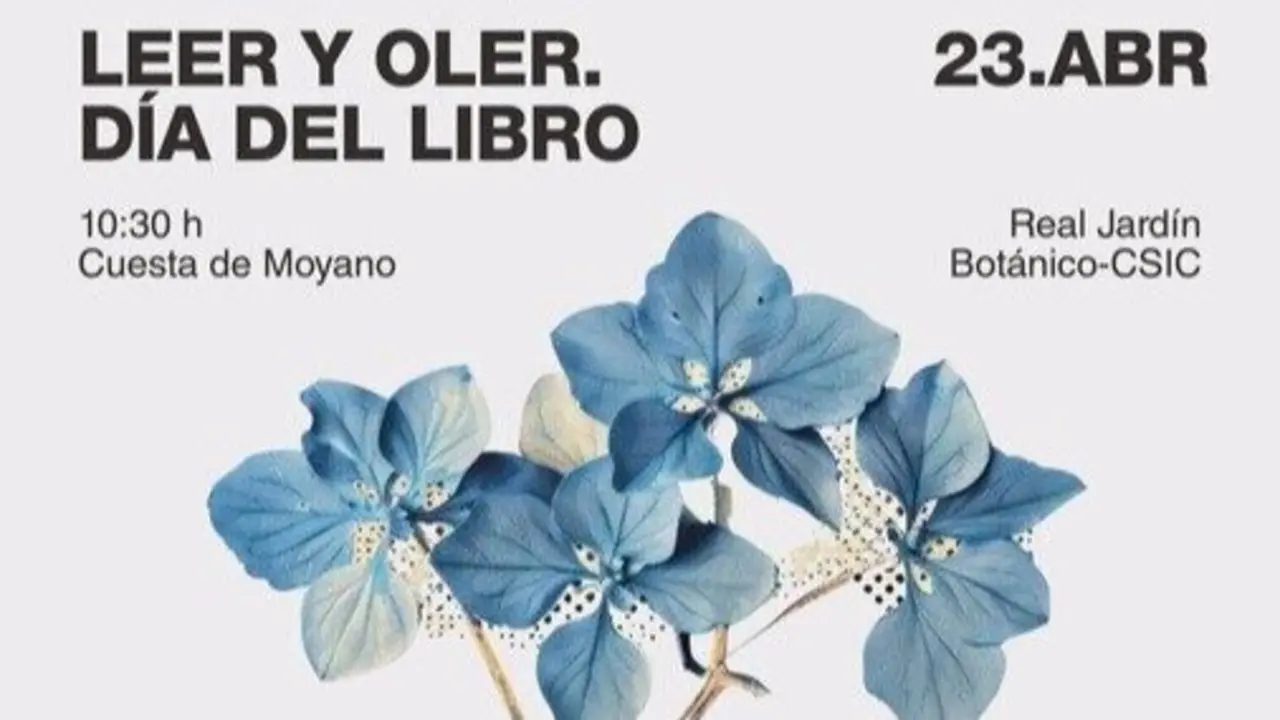 Cuesta de Moyano celebra el D&iacute;a del Libro con la actividad 'Leer y Oler' y el Torneo de Caza de libros.