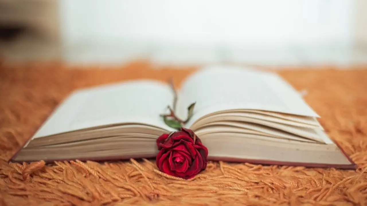 Libro abierto con una rosa. Imagen de archivo.