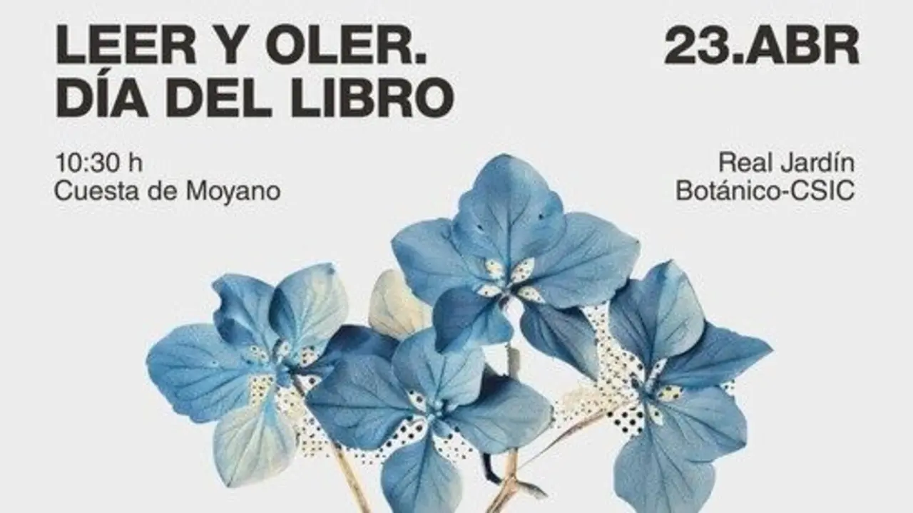 Cuesta de Moyano celebra el D&iacute;a del Libro con la actividad 'Leer y Oler' y el Torneo de Caza de libros.