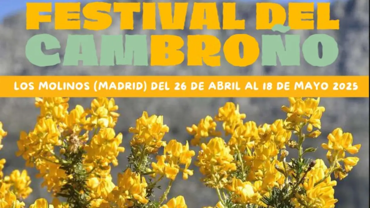 Festival de Cambro&ntilde;o.