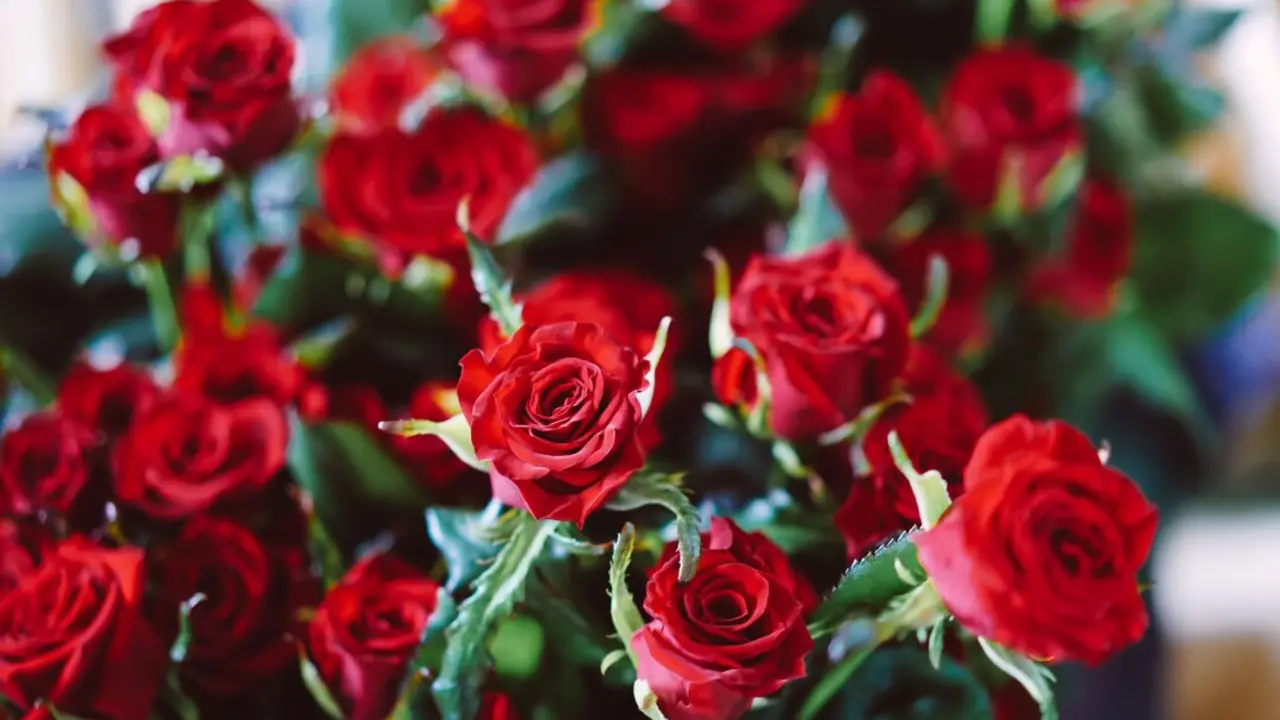 Un ramo de rosas. Imagen de archivo.