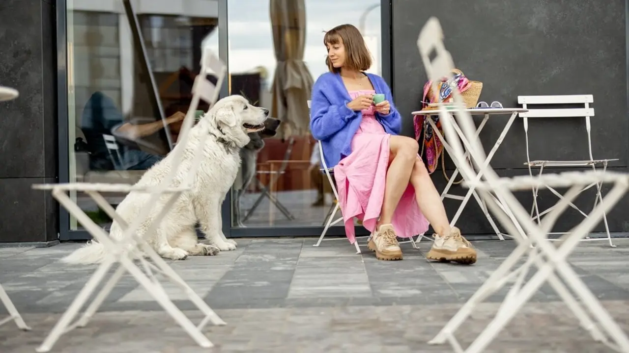 Mujer sentada con su perro. Imagen de archivo.