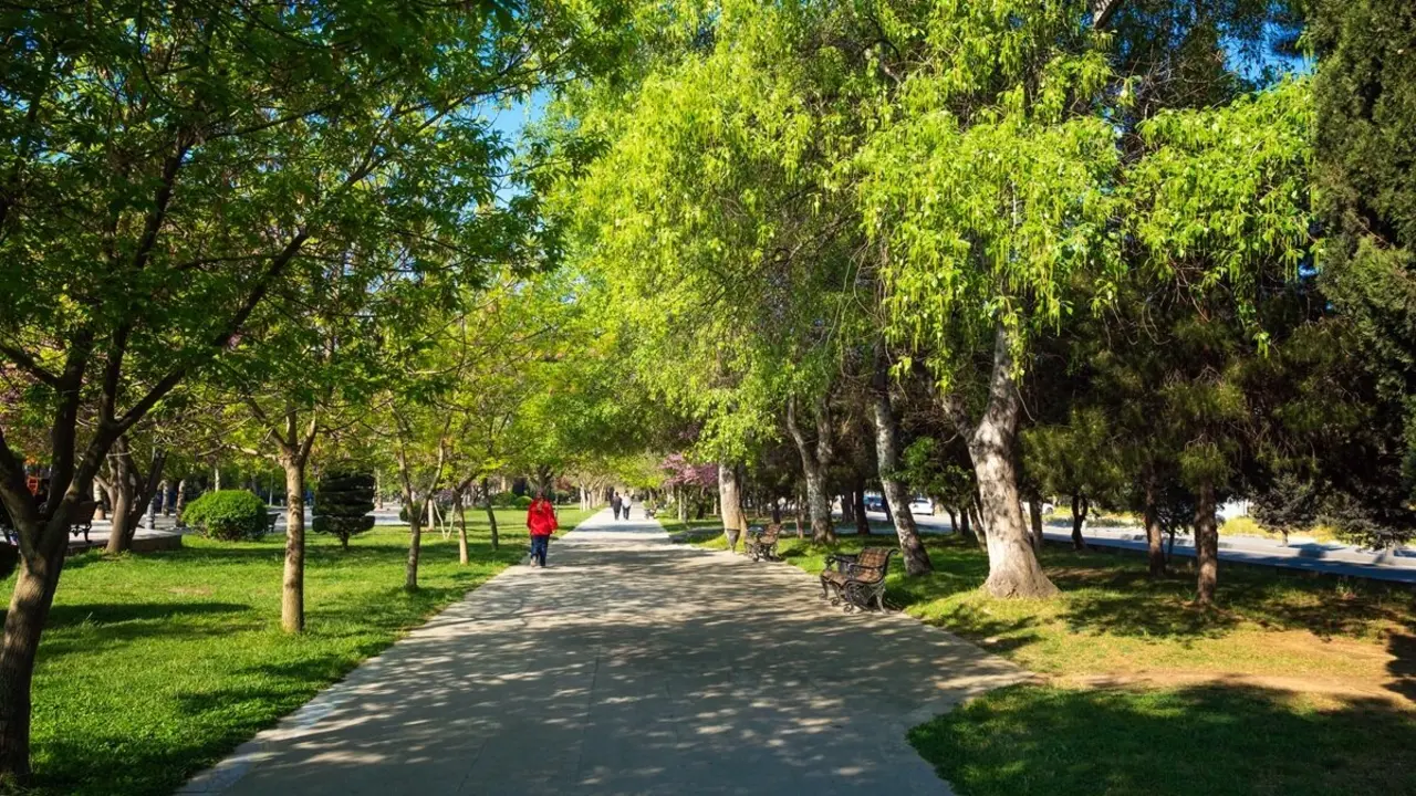 Sendero en un parque. Imagen de archivo.