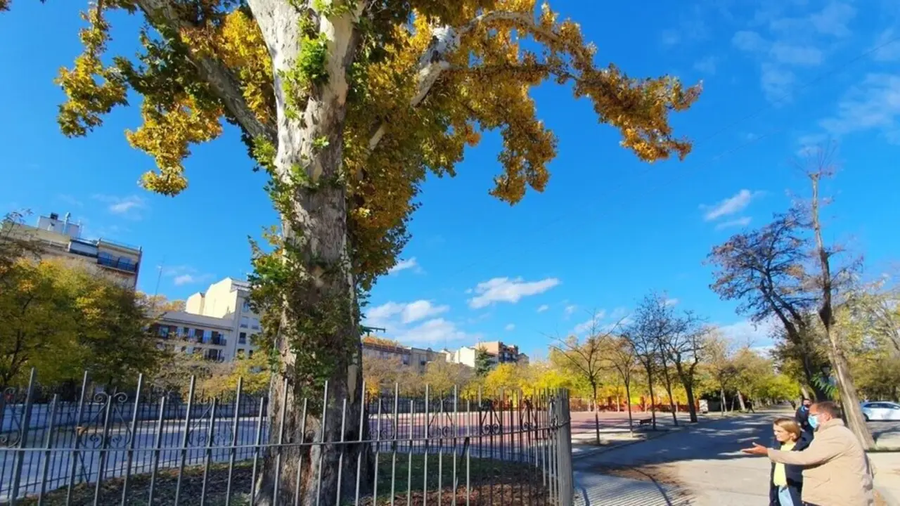 Parque de la Bombilla. Imagen del Ayuntamiento de Madrid.