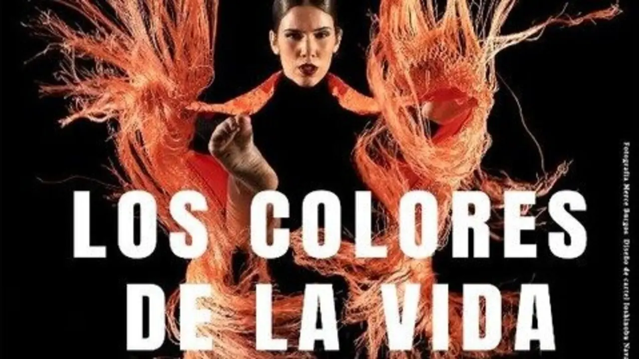 Cartel de 'Los Colores de la Vida'. Imagen del Ayuntamiento.