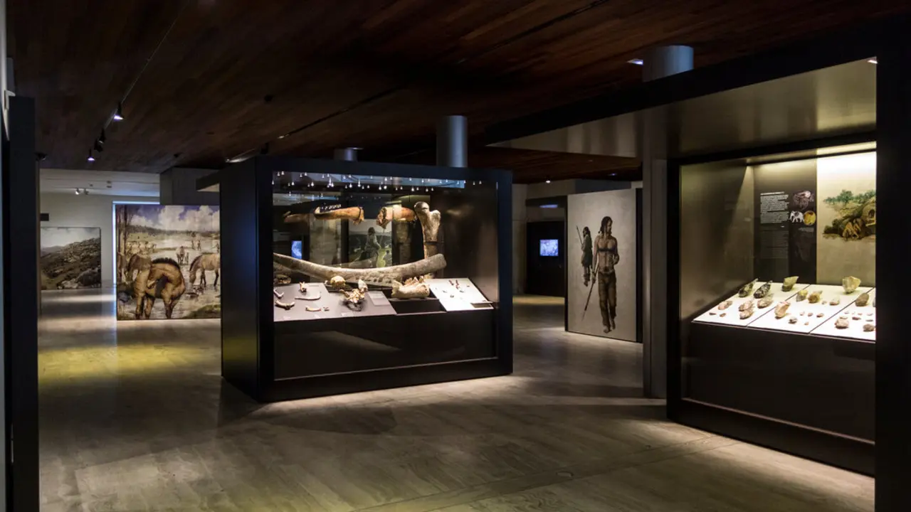 Sala de Prehistoria. Paleol&iacute;tico Antiguo. Imagen de Mika Cartier cedida por el Museo Arqueol&oacute;gico Nacional.