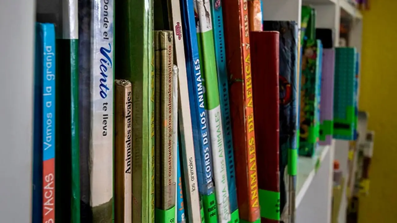 Libros en una biblioteca. Imagen de EP.