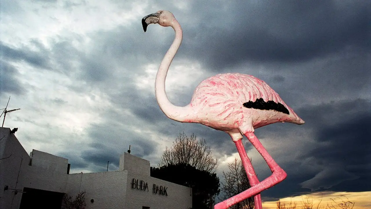Cigonya, 2005. Tanit Plana. Imagen cedida por la Sala Isabel II.