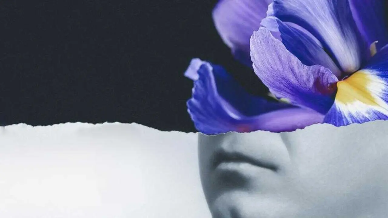 &Oacute;pera Iris. Imagen del Teatro Real.