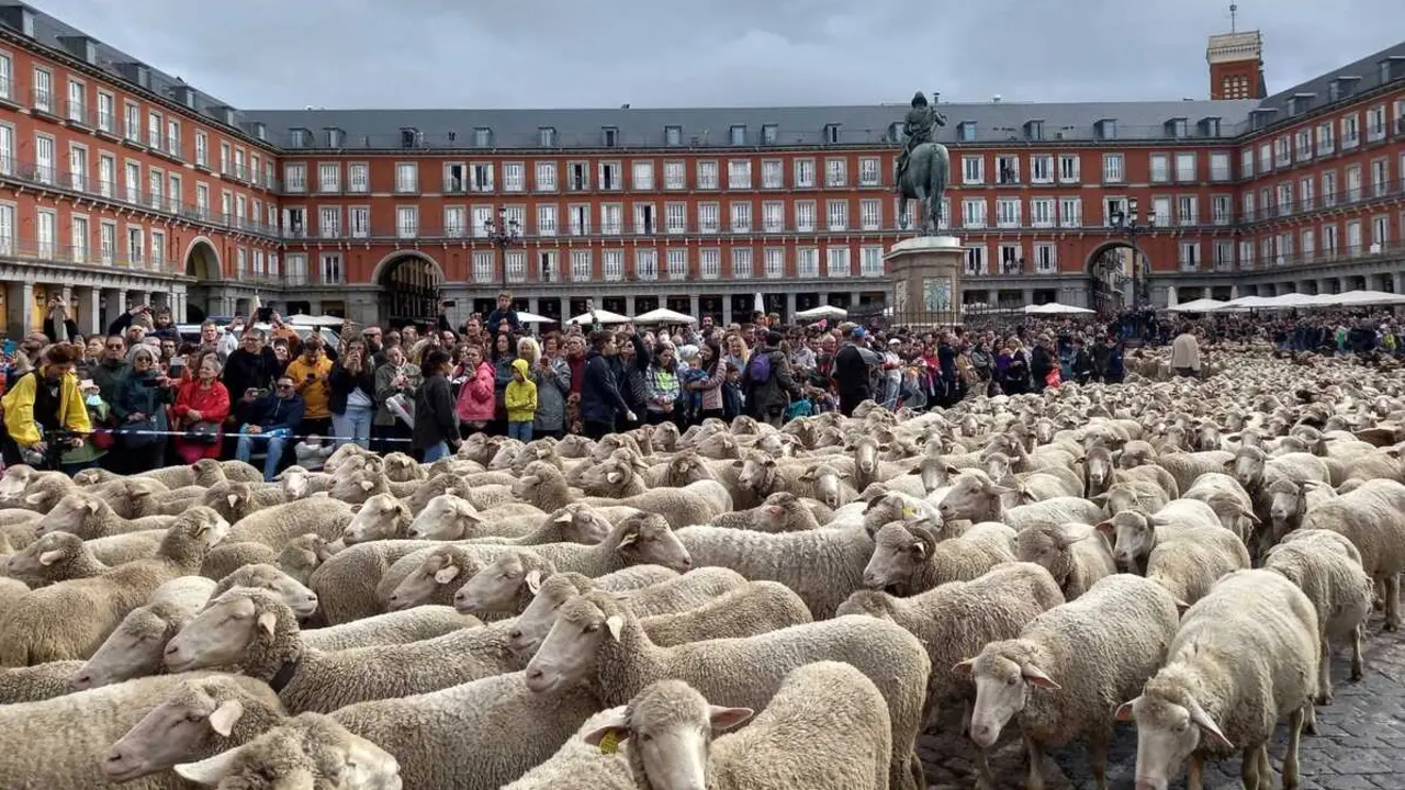 Fiesta de la Trashumancia. Imagen del Diario de Madrid.