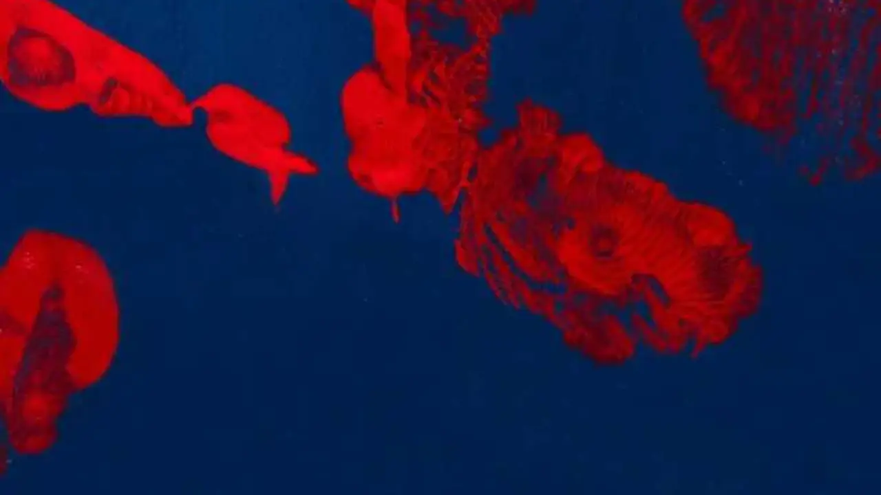 'El escenario del crimen', evento en Ciencia + Arte.