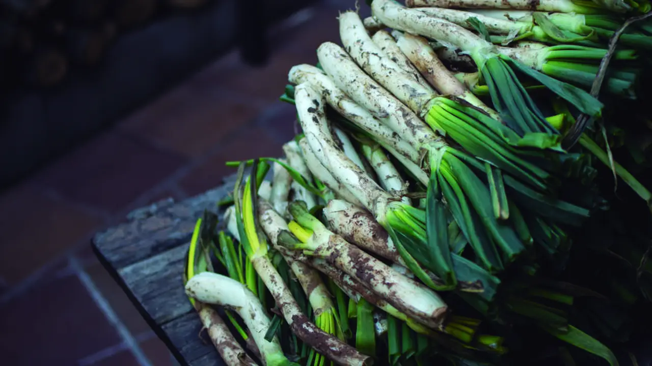 Cal&ccedil;ots en imagen de archivo.