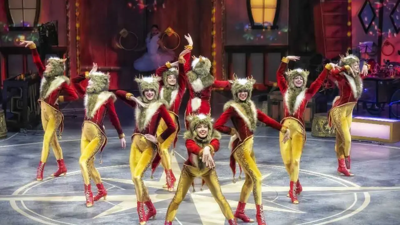 Circlassica Noel.