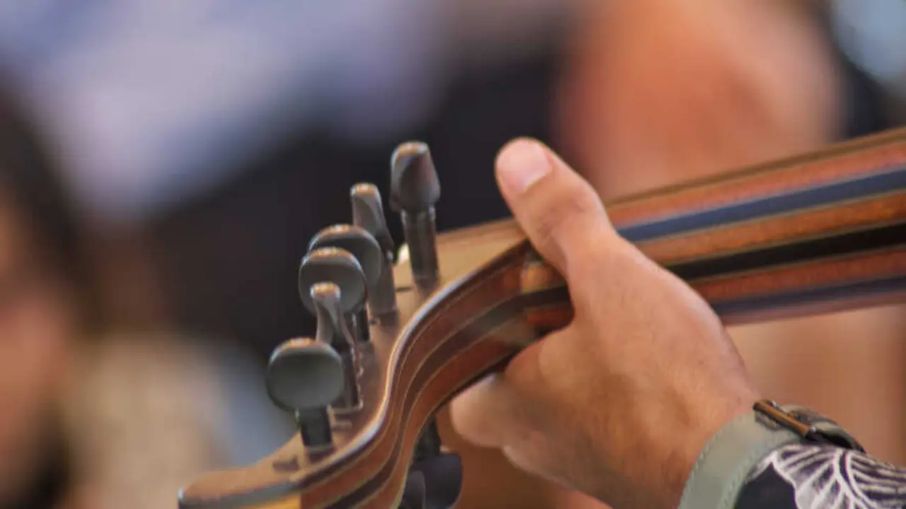 Un viol&iacute;n en imagen de archivo.