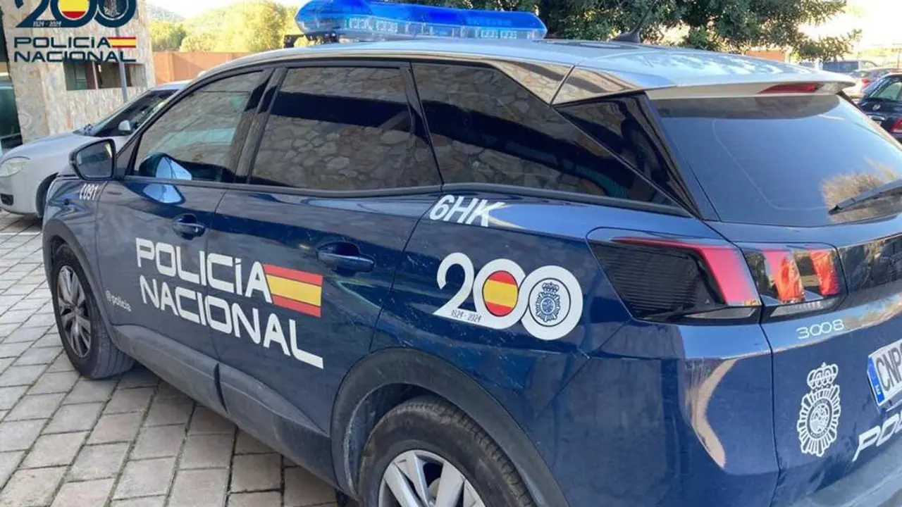 Coche de la Polic&iacute;a Nacional. Imagen de EP.