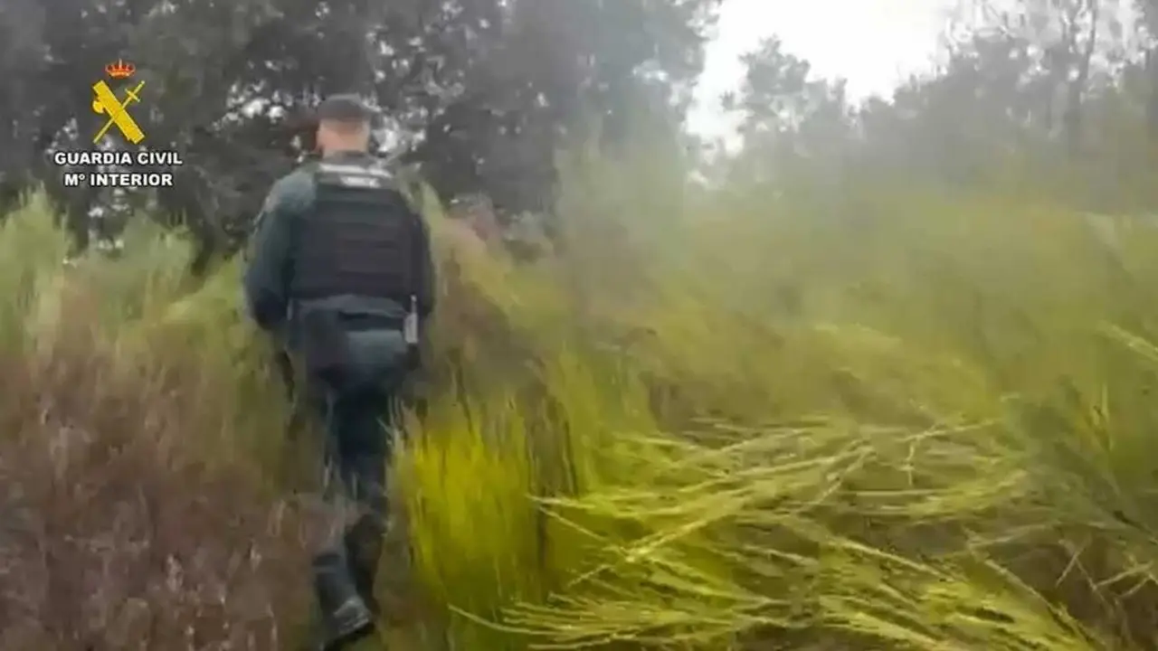 La Guardia Civil busca a un hombre de 63 a&ntilde;os desaparecido en Cenicientos cuando iba a buscar le&ntilde;a. Imagen de la Guardia Civil.