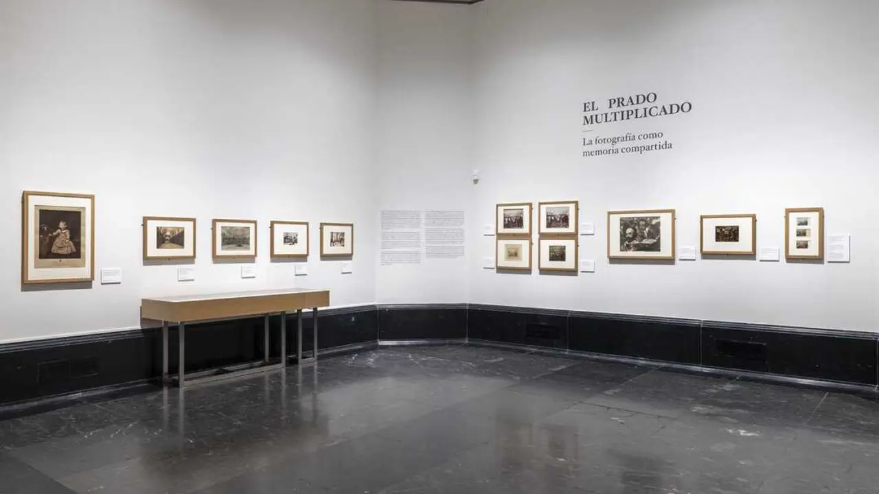 Imagen de la sala de la exposici&oacute;n 'El Prado multiplicado'.