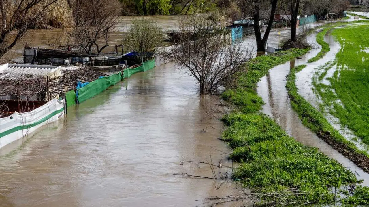 Imagen de archivo del desbordamiento del r&iacute;o Jarama a la altura de San Fernando de Henares en marzo de 2025 debido a las intensas lluvias. Imagen de EP.