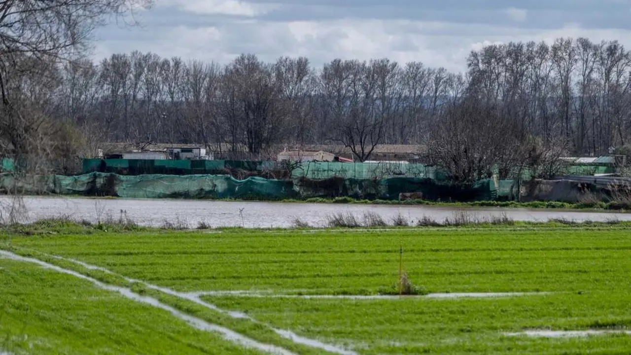 V&iacute;as verdes y caminos junto al r&iacute;o Jarama, en San Fernando de Henares (Madrid). Imagen de EP.