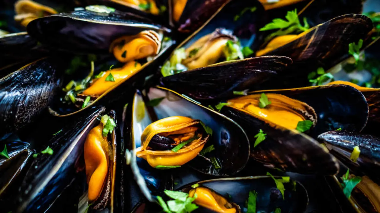 Mejillones en imagen de archivo.