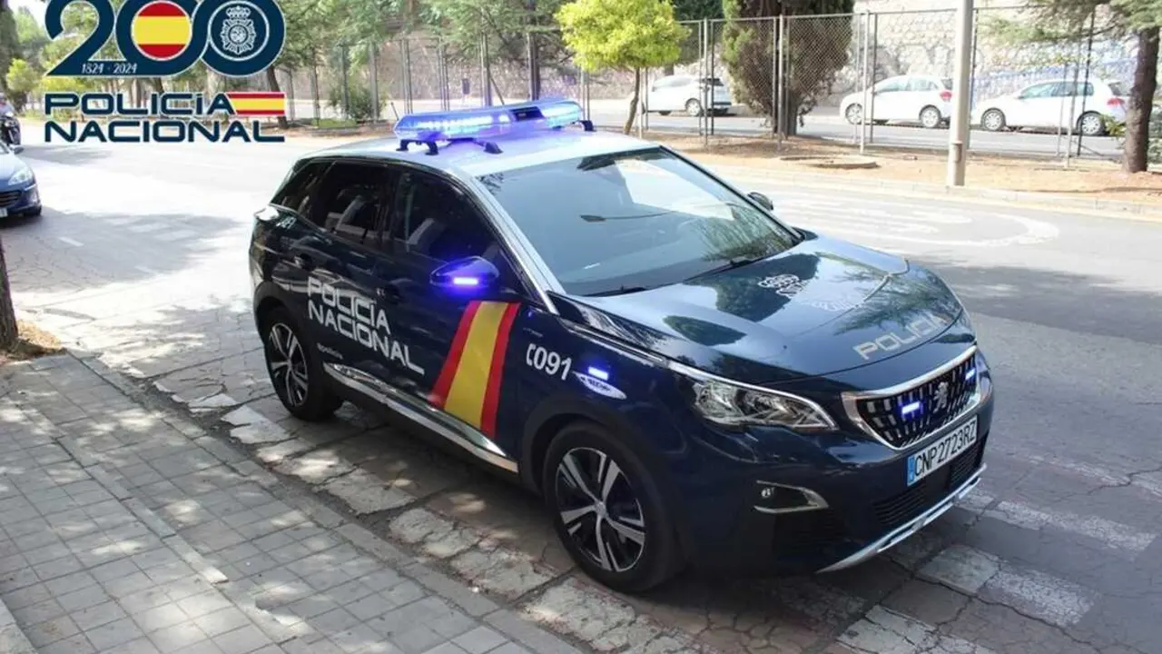Un coche de la Polic&iacute;a Nacional. Imagen de EP.