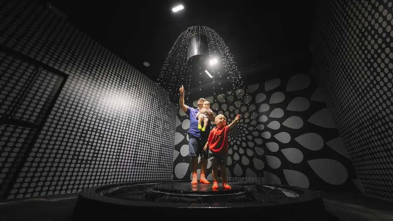 Museo de los Sentidos Madrid, Imagen de la organizaci&oacute;n.