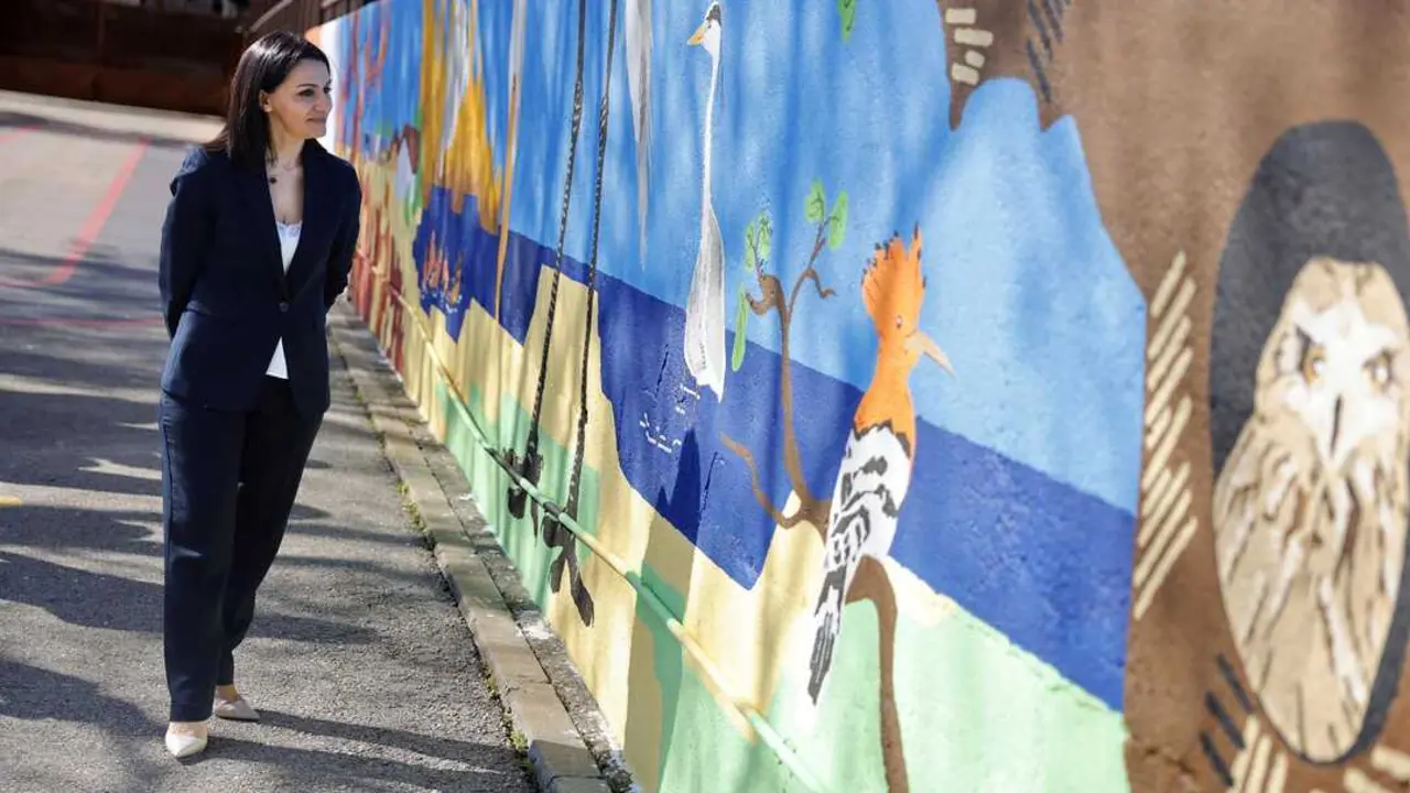 Abubillas, b&uacute;hos y otras aves llenan de color el patio del colegio Fray Pedro Ponce de Le&oacute;n con un gran mural. Imagen de EP.