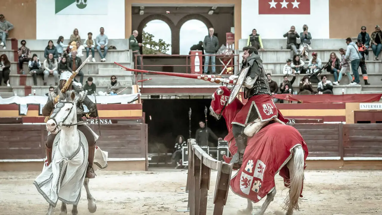 XVIII Feria Medieval El &Aacute;lamo. Torneo de Justas.