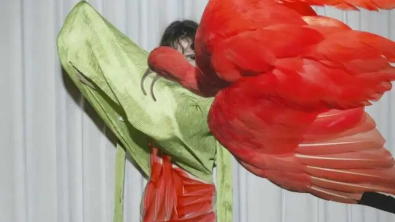 Exposici&oacute;n de Viviane Sassen.