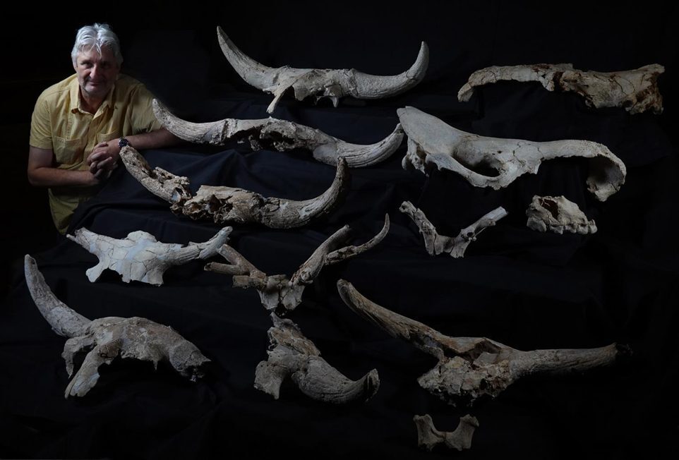 Valle de los Neandertales 