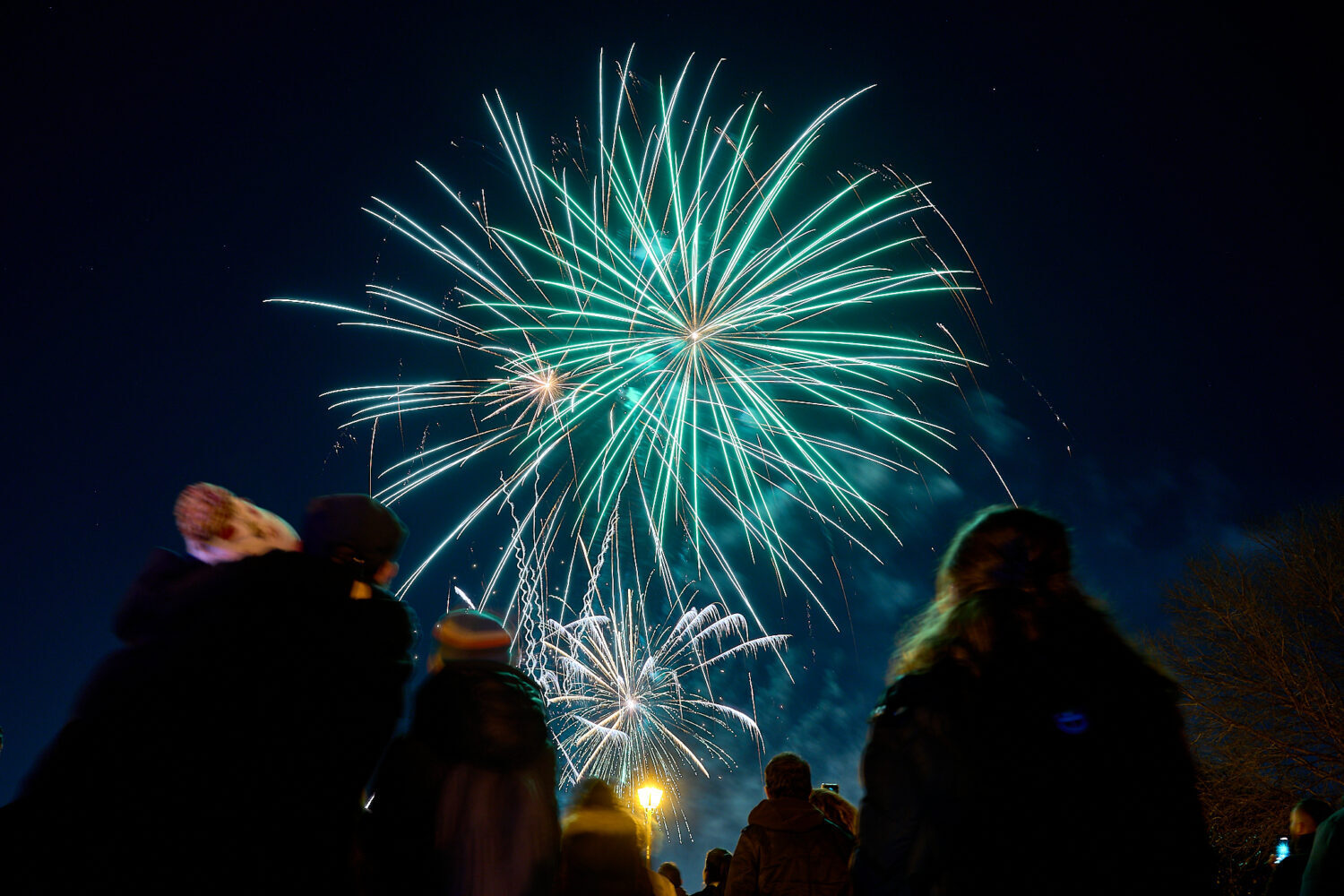 Fuegos artificiales del Año Nuevo Chino.