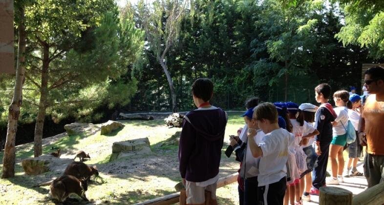 Un grupo de niños disfrutando de los campamentos organizados por Faunia.
